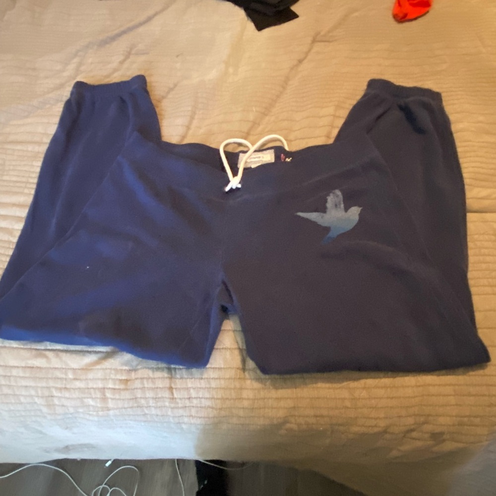 Aerie Blue Sweatpants Cozy Fleece Joggers